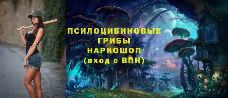 Псилоцибиновые грибы Magic Shrooms  Балей 